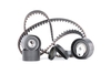 SKF Distributieriemset RENAULT VKMA 06108 119316259R, 7700116015, 7703002969 Distributieset, Distributieriem & Distributieset, Distributieriem set 4410548