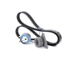 SKF Distributieriemset RENAULT, VOLVO VKMA 06604 1371753, 6M5G6M250AA, 7430638277 Distributieset, Distributieriem & Distributieset, Distributieriem set