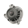 SKF Waterpomp AUDI VKPC 81612 054121004, 054121004A, 054121004 054121004A, 054121004, 054121004A, 054121004, 054121004A