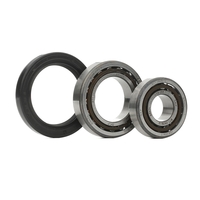 SKF Wiellagerset FORD VKBA 528 116002140800, 116002141303, 116002141306 Wiellager, Wiellagers, Wiellager & Wiellagerset 510384, 510385, 60521282, 31211110115