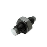 SWAG Klepspelingstelschroef VW, AUDI, SKODA 30 10 0729 038103714, 038103714G, 38103714 38103714G, 038103714, 038103714G, 38103714, 38103714G, 038103714