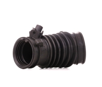 TEDGUM Aanzuigslang,  luchtfilter HONDA TED13160 1722651BH00