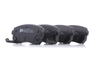 VALEO Remblokkenset HYUNDAI, KIA 598867 583021GA00, 583021HA10, 583021JA30 583021JA31, 583020ZA00, 583021GA00, 583021HA00, S583020ZA00