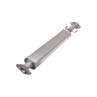 WALKER Middendemper PEUGEOT 22494 1717AY, 1717AZ, 1717H9 Uitlaat Middendemper 9809881280