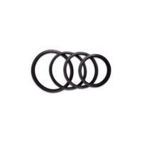 XL O-ring 300018