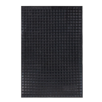 XL Voetmat 551509