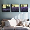 3 panneaux paysage imprime mur art moderne photo décor à la maison tenture murale cadeau avec cadre intérieur 12 