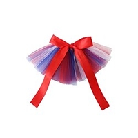 4th juillet pet costume jour de l