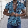 Chemise Homme Imprimé Floral Col rabattu Bouton bas Imprimer Manches Courtes Plein Air Décontractée Vacances Standard Polyester Design Décontractée Mode / Eté / Printemps / Eté miniinthebox