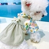 Chien Chat Robe Graphic Nœud papillon Adorable Le style mignon"idien Décontracté /"idien Vêtements pour Chien Vêtements pour chiots Tenues De Chien Doux Vert clair Costume pour fille et miniinthebox