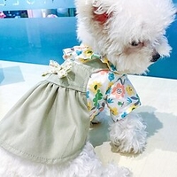 Chien Chat Robe Graphic Nœud papillon Adorable Le style mignon"idien Décontracté /"idien Vêtements pour Chien Vêtements pour chiots Tenues De Chien Doux Vert clair Costume pour fille et miniinthebox
