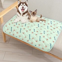 chien d