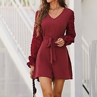Combishort Femme Lacet Dentelle Couleur unie Col V Vêtement de rue du"idien Vacances Standard manche longue Vin S Printemps miniinthebox