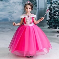 Conte de Fée Princesse Princesse Aurore Robe Robe de demoiselle d