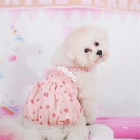 femme de chambre parent-enfant vêtements animal de compagnie chat chien vêtements de printemps et d