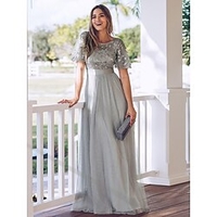 Femme Robe Évasée Robe longue maxi Vert Blanche Noir Rose poussiéreuse Dorée Bleu Poudré Gris Clair Rouge Bleu Marine Bleu clair Manches Courtes Couleur unie Couleur monochrome Maille Imprimer miniinthebox