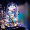 fleurs artificielles rose éternelle rose en verre led dôme décor saint valentin cadeaux pour femmes petite amie femme fête des mères mariage miniinthebox