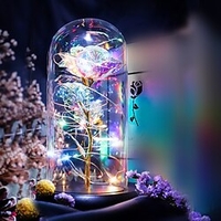 fleurs artificielles rose éternelle rose en verre led dôme décor saint valentin cadeaux pour femmes petite amie femme fête des mères mariage miniinthebox
