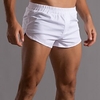 Homme à la mode Décontracté / Sport Short Taille elastique Court Pantalon Sport extérieur du"idien Micro-élastique Couleur unie Confort Respirable Taille médiale Blanche Noir Rose Claire Bleu miniinthebox