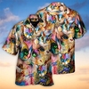 Homme Chemise Chemise hawa enne Animal Chat Imprimés Photos Col rabattu Arc-en-ciel Casual Vacances Manche Courte Bouton bas Imprimer Vêtement Tenue Tropique Mode Hawa en Flexible miniinthebox