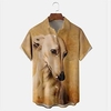 Homme Chemise Chemise hawa enne Animal Chien Imprimés Photos Perroquet Col rabattu Jaune Bleu Marron Extérieur Plein Air Manches courtes Bouton bas Imprimer Vêtement Tenue Tropique Mode Hawa en Design miniinthebox