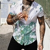 Homme Chemise Chemise hawa enne Imprimés Photos Feuilles Col rabattu Blanche Bleu Vert Plein Air Casual Manches courtes Bouton bas Imprimer Vêtement Tenue Tropique Mode Hawa en Design miniinthebox