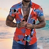 Homme Chemise Chemise hawa enne Imprimés Photos Feuilles Col rabattu Rouge Bleu Plein Air Casual Manches courtes Bouton bas Imprimer Vêtement Tenue Tropique Mode Hawa en Design miniinthebox
