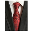 Homme Cravate Cravates Travail Mariage Gentleman Style formel Style moderne Jacquard Mode Jacquard Formel Entreprise robe ceremonie miniinthebox