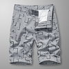 Homme Décontractée Classique Short Short Cargo Short de travail Multi poche Court Pantalon du"idien Non Elastique Avec motifs Extérieur Taille médiale Noir Bleu Vert Véronèse Grise Kaki 29 30 31 miniinthebox