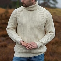 Homme Pull Chandail Pull Pull à col roulé Tricoter Tricoté Couleur unie Col Roulé à la mode Casual Extérieur Intérieur Vêtement Tenue Hiver Automne Beige M L XL miniinthebox