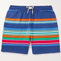 Homme Short Shorts décontractés Poche Cordon Taille elastique marinière Confort Respirable Extérieur du"idien Vacances basique Vêtement de rue Bleu miniinthebox