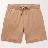 Homme Short Shorts décontractés Poche Cordon Taille elastique Plein Confort Respirable Extérieur du"idien Vacances Mélange de Coton basique Vêtement de rue Noir Marron miniinthebox