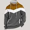 Homme Sweat à capuche Bleu Roi Bleu Marron Gris Clair Gris foncé Capuche Bloc de couleur Patchwork Sport Loisir du"idien Des sports basique Design Casual Printemps Automne Vêtement Tenue miniinthebox