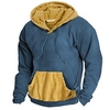 Homme Sweat à capuche Noir Bleu Violet Capuche Bloc de couleur Poche avant Sport Loisir du"idien Des sports basique Design Casual Printemps Automne Vêtement Tenue Pulls Capuche Pulls miniinthebox