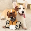 les jouets pour chiens peuvent soulager l