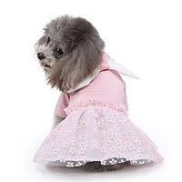 Nouveau chien de compagnie rayures mignon princesse jupe été petit chien vêtements printemps et automne vêtements miniinthebox