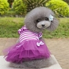 Nouvelle jupe rayée pour chien jupe princesse pour animaux de compagnie peluche petit chien miniinthebox