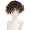 Perruques brunes pour hommes perruques de cheveux synthétiques courts bouclés pour hommes costume de garçon cosplay party naturel noir résistant à la chaleur faux cheveux miniinthebox