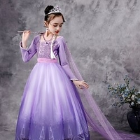 Princesse Elsa Reine des Neiges Costume de Cosplay Robe de demoiselle d