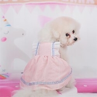 Printemps et été mince vêtements pour chiens de compagnie mignon princesse dentelle sangle jupe vêtements amusants pour animaux de compagnie miniinthebox