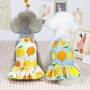 Printemps et été nouveaux vêtements pour chiens de compagnie jupe citron ours en peluche chiot été section mince miniinthebox