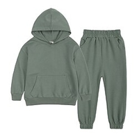 Sweat à capuche Pantalon Ensemble de Vêtements Garçon Enfants 2 Pièces manche longue Vert Bleu Violet Couleur unie Coton Plein Air Casual"idien Sportif Style de rue Normal / Hiver / Automne miniinthebox