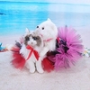 été chien maille robe chat dentelle princesse gaze jupe nouveaux petits et moyens vêtements pour animaux de compagnie miniinthebox