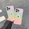 téléphone Coque Pour Apple Coque Arriere iPhone 13 12 11 Pro Max X XR XS Max Coque Anti-Chocs Bords doux Non jaunissant Dégradé de Couleur Brillant TPU PC miniinthebox