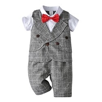 Veste de Costume Ensemble de Vêtements Garçon Bébé 2 Pièces Manches Courtes Gris Bleu clair Tartan Noeud Coton Intérieur Extérieur Grande occasion Doux Normal 1-4 ans miniinthebox