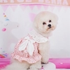 Vêtements pour chiens de compagnie printemps et été nouveaux produits petit chien bichon mignon princesse arc bourgeon jupe pet fun miniinthebox