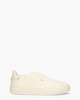 21553 Wit