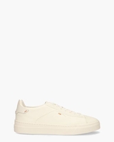 21553 Wit