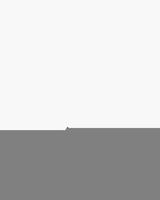 A9111 Donkerbruin Dames Veterschoenen