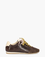 Billy Lou Donkerbruin